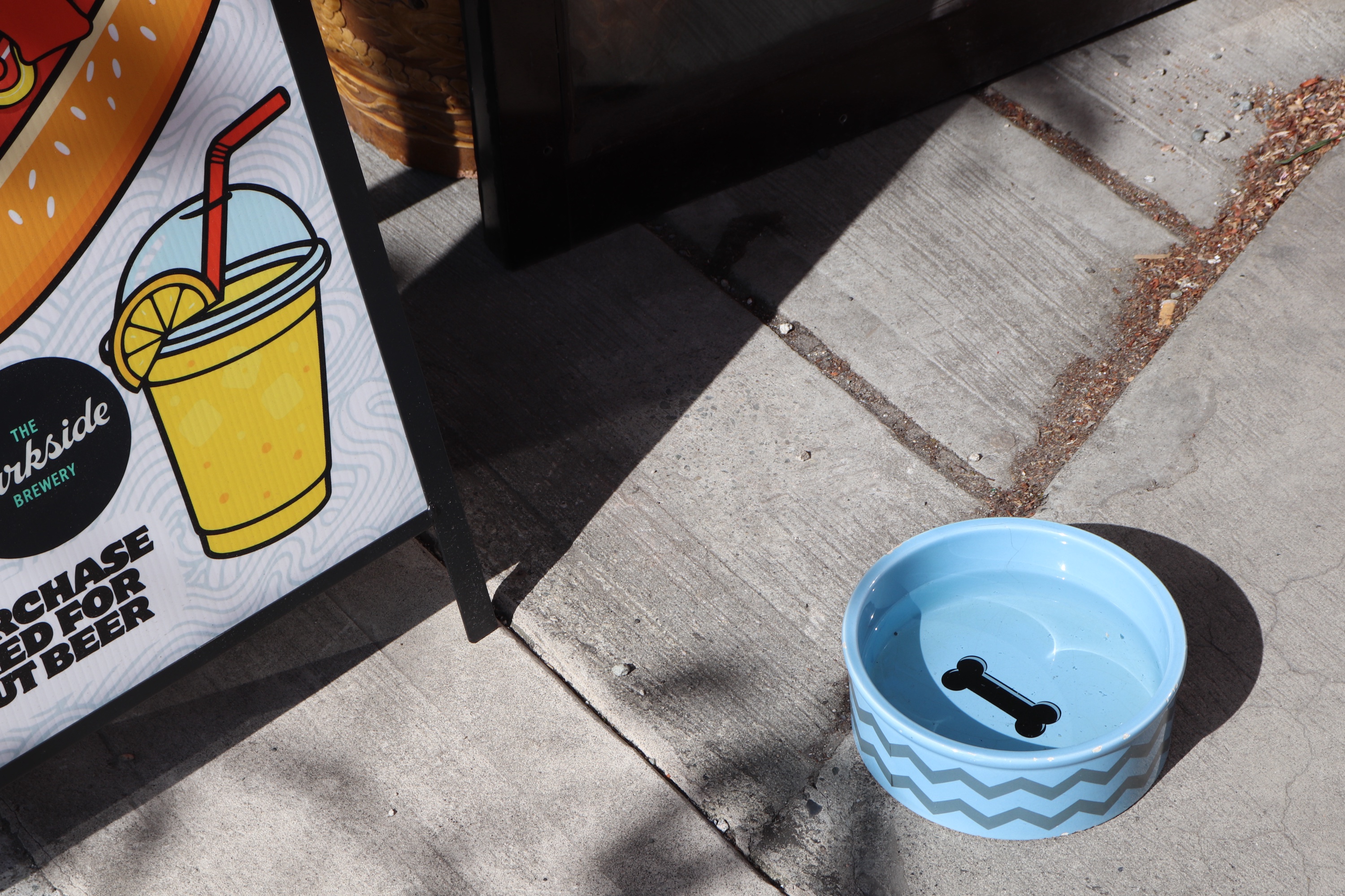 A pale blue ceramic dog bowl full of water on a sunlit sidewalk beside a Parkside Brewery sandwich-board sign.