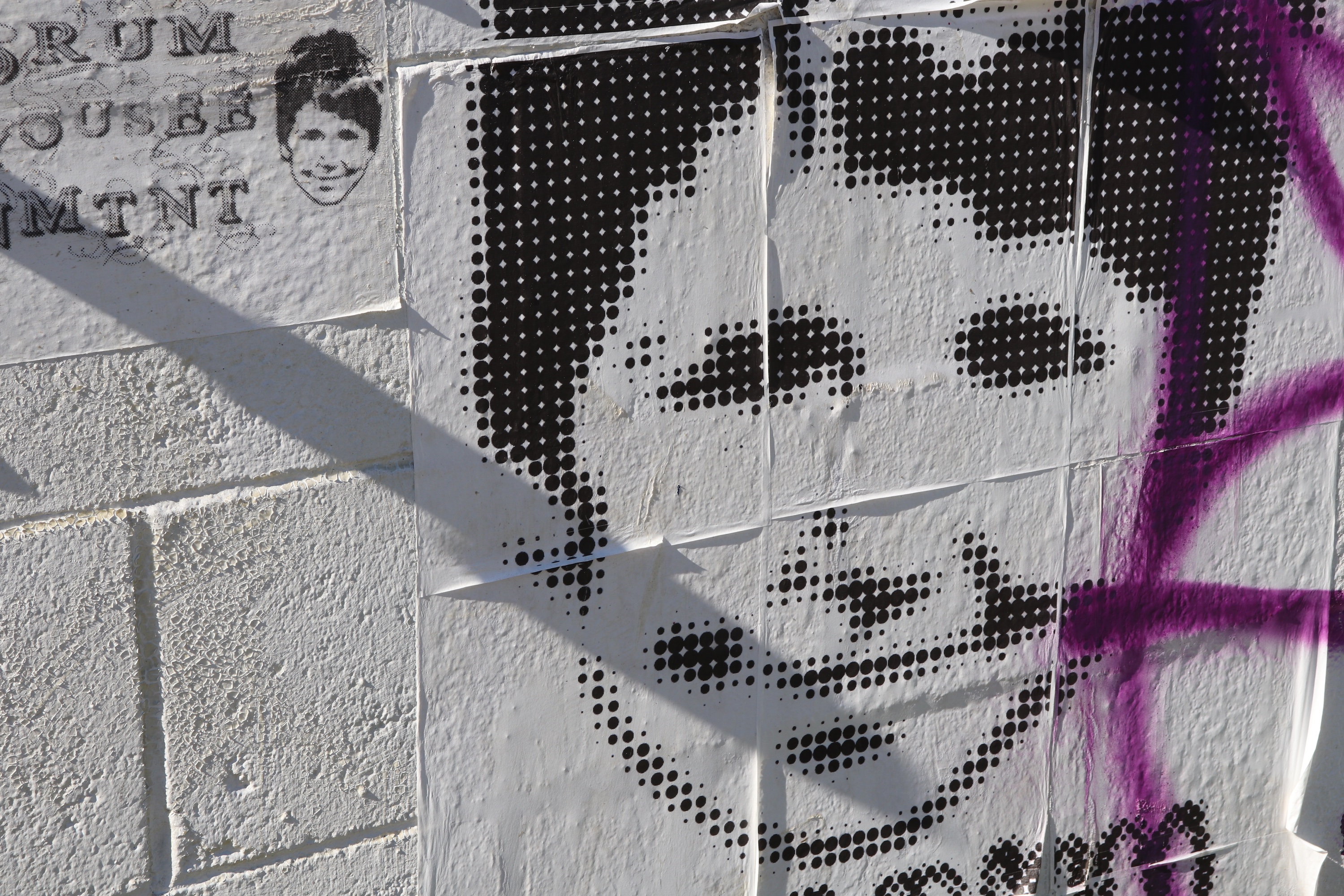 Large and small versions of the same smiling face pasted on a masonry wall, with the halftone portrait crossed by purple spray paint and hard shadows.