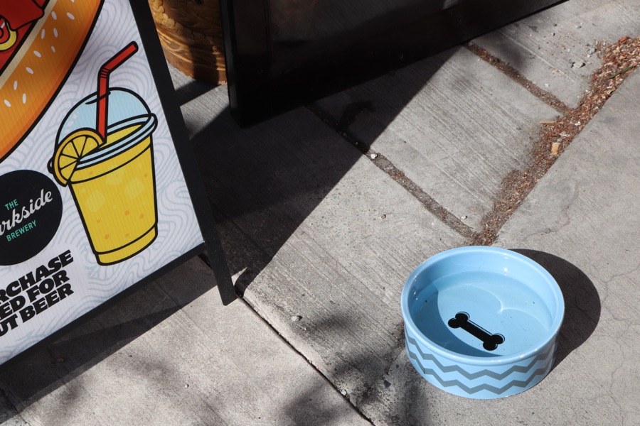 A pale blue ceramic dog bowl full of water on a sunlit sidewalk beside a Parkside Brewery sandwich-board sign.
