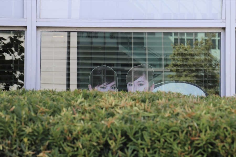 Two life-size cutout faces of two women peering up from behind a dense green hedge in front of office windows.